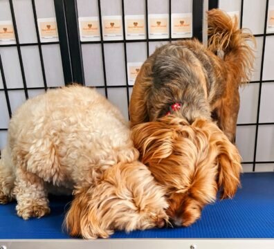 1abe6179-6e78-40f1-b122-5df054ff9884