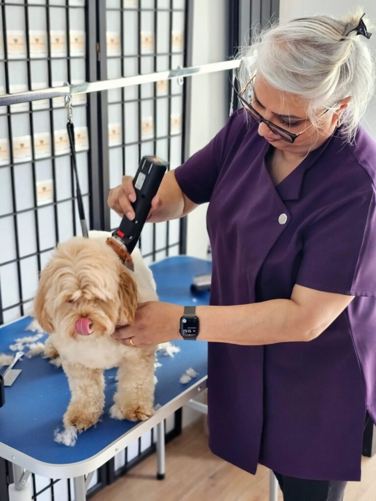Grooming a Dog with Long Hair