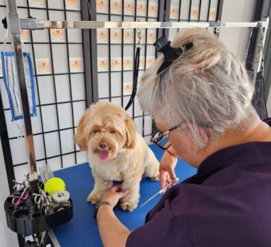 65369702-24b5-4413-8e89-6dd79f389f03