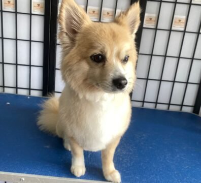 9c5f8d73-555b-4807-a044-2450bbc72342