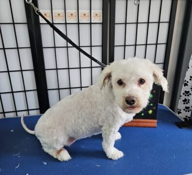 19b447dd-56cd-4204-a19d-83055dbcce7e